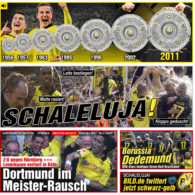 Bild Borussia Dortmund 2011