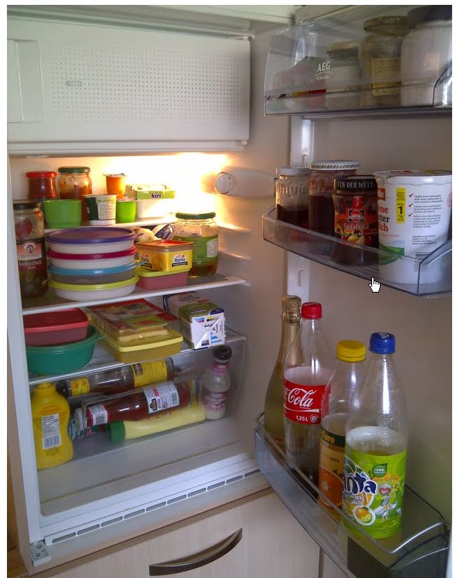 Kühlschrank 09082011