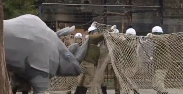 Police scrambled to deal with escaped papier mâché rhino YouTube - Nashorn Angriff Zoo Übung Japan kika Logo Nachrichten Nashorn