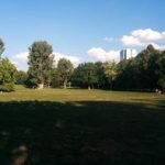 Frankfurt Grüneburgpark Park Natur