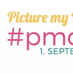 Picture my Day #pmdd19 Logo