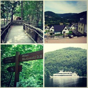 Rureifel Rursee Landal Resort Eifeler Tor Wanderung Eifel Wilder Kermeter Weg