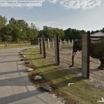 Safaripark Stukenbrock Ostwestfalen Street View Google Maps