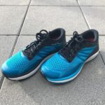 Salomon Sonic RA MAX 2