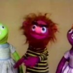 Screenshot NDR YouTube Happy Birthday, Ernie, Bert & Samson! Kulturjournal