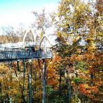 Tree Top Walk Baumkronenpfad Edersee Herbst 2013