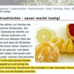 Zitrusfrüchte Sauer macht lustig