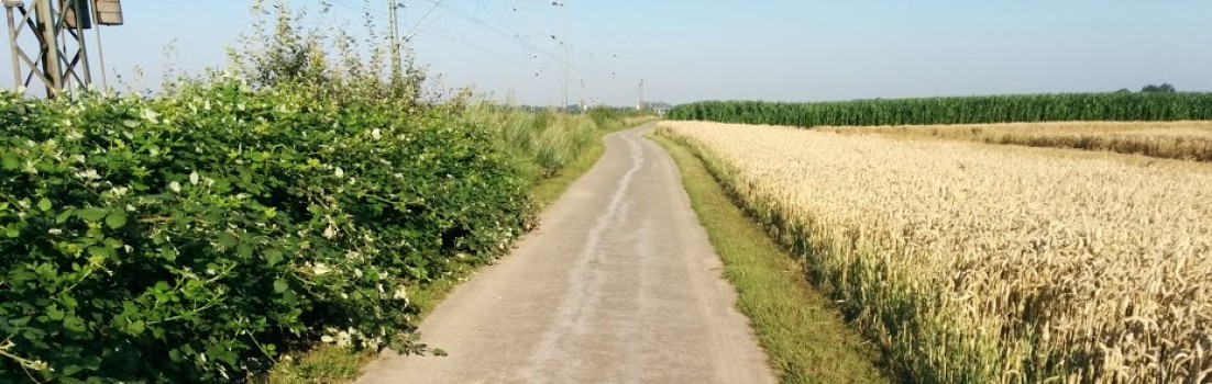 Laufen Eickerender Feld Kleinenbroich